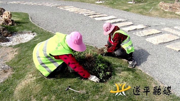 00783.MTS_20210304_154312.014_副本