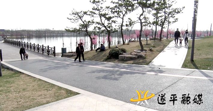 00806.MTS_20210304_154517.316_副本