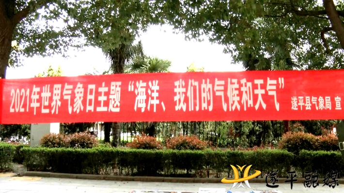 02737.MTS_20210324_103618.609_副本