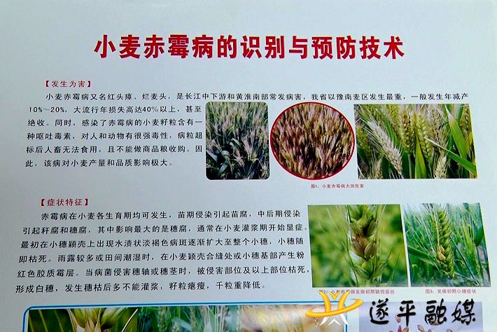 00670.MTS_20210419_173955.441_副本