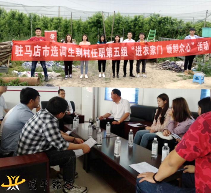 选调生调研-开展基层国情调研 助力农业农村振兴360