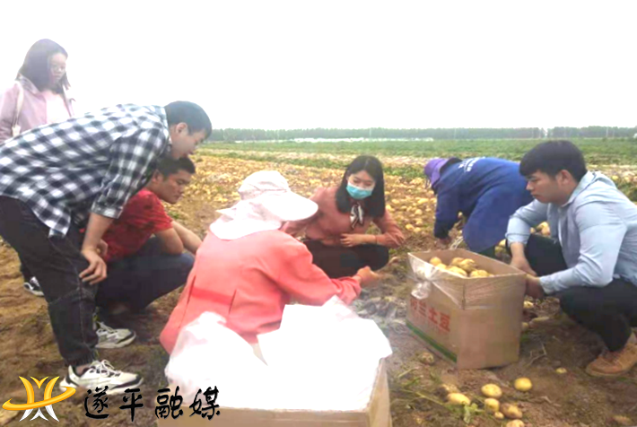 选调生调研-开展基层国情调研 助力农业农村振兴796