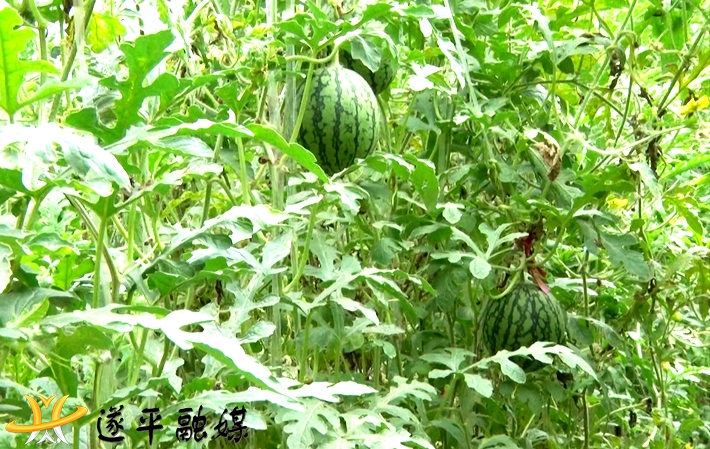 2021-5-27车站街道.mpg_20210527_161430.923_副本