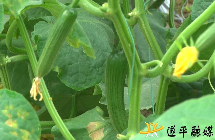 2021-5-27车站街道.mpg_20210527_161154.052_副本