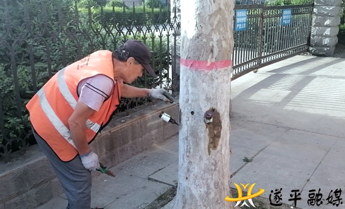 fead4081cf6f44c9231c63f94451c187