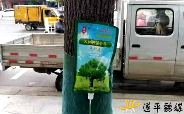 d6e98c245f32022a7d3ec8246bdad440