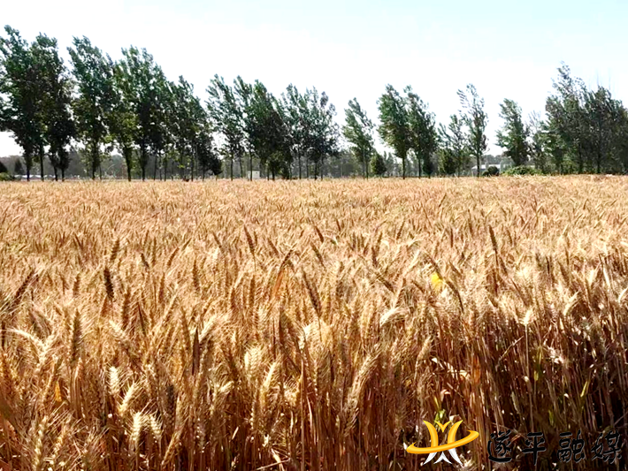 bf0cf807947f9e43328227aafd269f9b