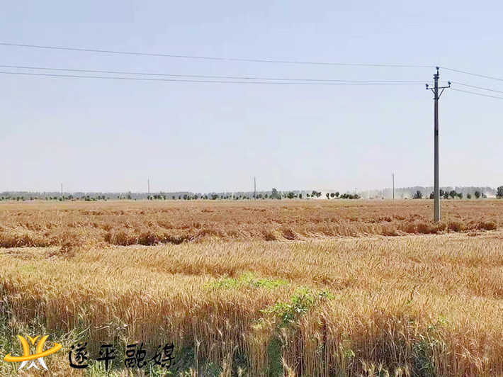 77b0a4bc6b247a75cdf472fa7706eb38