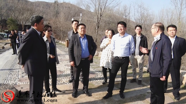 碧桂园控股有限公司集团董事陈翀一行到我县考察