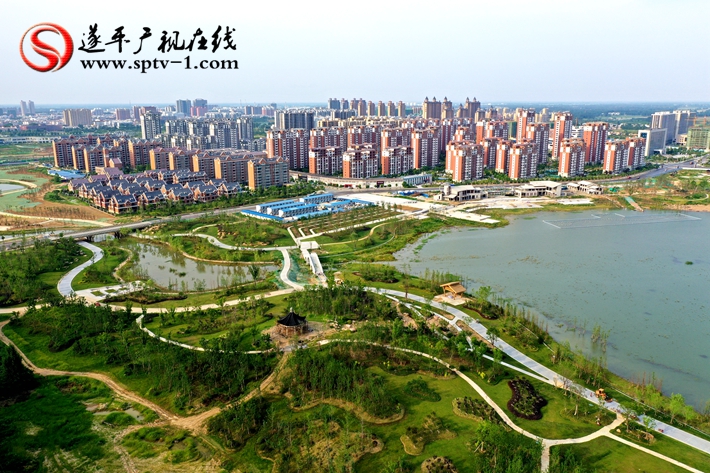 DJI_0206_副本