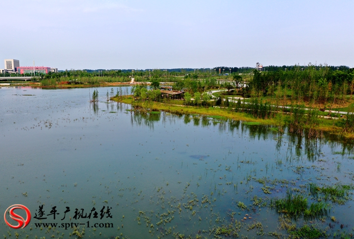 DJI_0215_副本