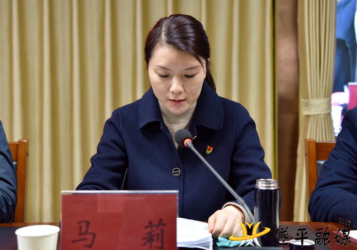 遂平县召开人居环境和国土绿化集中观摩点评会